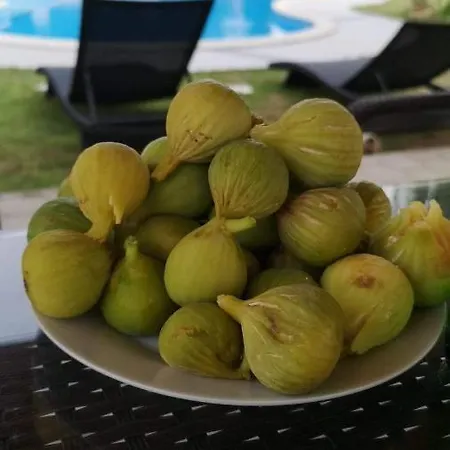 Fabry Ploce (Dubrovnik-Neretva)