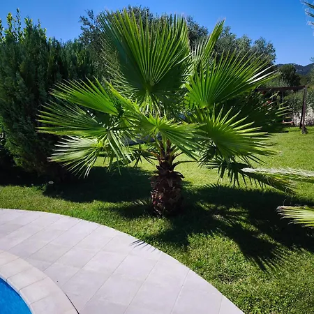 Fabry Ploce (Dubrovnik-Neretva)